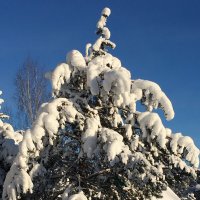 Великие Луки. Настоящая зима 2026... :: Владимир Павлов