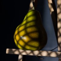 *** :: Сергей Полянский