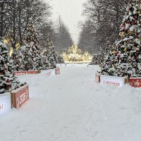 Цветной бульвар зимой :: ИРЭН@ .