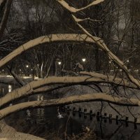 ***** :: юрий поляков