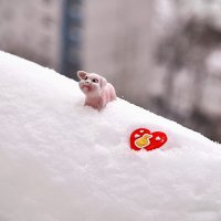 Трамп сказал - Трамп сделал ! Высадил десант в Гренландии,,, :: Анатолий Колосов Трамп сказал - Трамп сделал ! Высадил десант в Гренландии,,, :: Анатолий Колосов