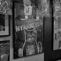 Котики :: Радмир Арсеньев