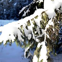 *** :: Александр 