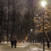 Прогулки в Зимнем Парке :: юрий поляков