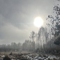 Начало зимы. :: Дмитрий Радионов Начало зимы. :: Дмитрий Радионов