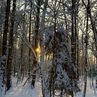 В лучах зимнего солнца :: Любовь 