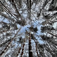 Под небом голубым… :: Любовь 