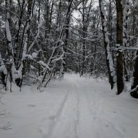 Сезон нецветной фотографии продолжается :: Андрей Лукьянов