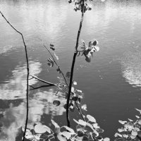 Фотография :: Денис Безногов