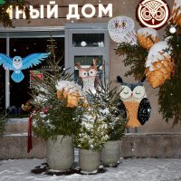 Новогодняя Москва. Путешествие в Рождество 2026. :: Наташа *****