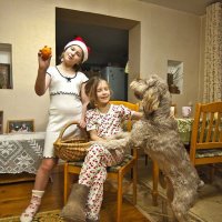 Кто раньше встал -- тот дедушкины тапочки одел... )) :: Владимир Хиль