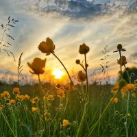 Закат :: Оксана Н.