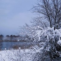 В окрестностях Калининграда :: Рита Симонова