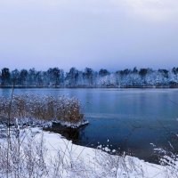 В окрестностях Калининграда :: Рита Симонова