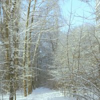 мороз и солнце :: Лера 