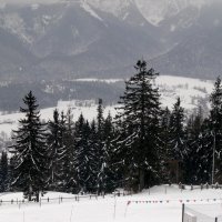 Зимний пейзаж :: Анастасия Смирнова