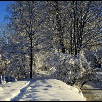 *** :: Aleksandr Gal