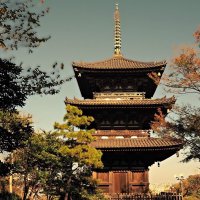 Пагода сада Sankei-en Иокогама Япония :: Civetta ***