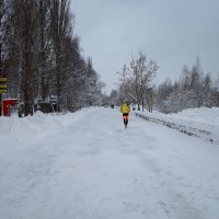В городском парке зимой :: Александр Синдерёв