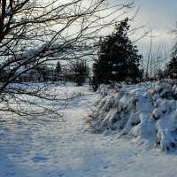 Январь. :: Владимир 