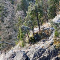 Подбило первым морозцем :: В.И 