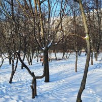 ,,, :: Сергей Тимоновский