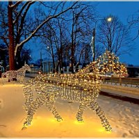 Световые коняшки. :: Лия ☼