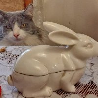 Празднуем Рождество :: Александр Чеботарь