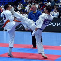 Победный удар! :: Александр Гриднев