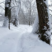 Зима в январе. :: Милешкин Владимир Алексеевич 