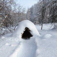 Шалаш на радость детям. :: Милешкин Владимир Алексеевич 