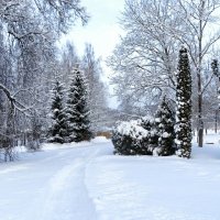 Зима в деревне. :: Милешкин Владимир Алексеевич 