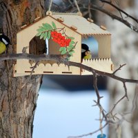 В очереди за кормом :: Татьяна Лютаева