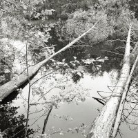 Фотография :: Денис Безногов