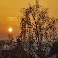 Январское солнце. :: Петр Беляков