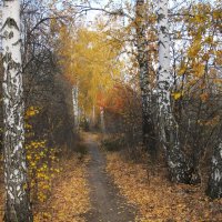 импрессионизм :: Елена Шаламова импрессионизм :: Елена Шаламова