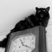 Часовщик :: Maria Rainer