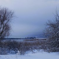 В окрестностях Калининграда :: Рита Симонова