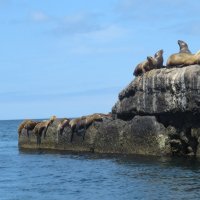 Релакс :: ИРЭН@ .