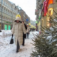 Снегом Занесённая :: юрий поляков