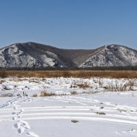 Сопки :: Alexandr Khizhniak