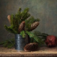 зимние зарисовки... :: Natali-C C