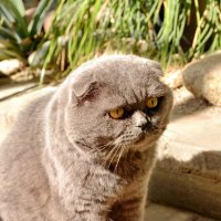 На страже :: Леонид Иванчук