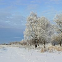 Зимний день :: Сергей 