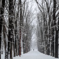 На аллеях парка :: Игорь Протасов