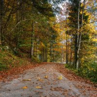 Осень :: Владимир Колесников