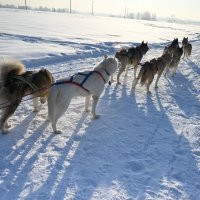 ... :: Митяй Митрич