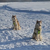 Ожидание... :: Митяй Митрич