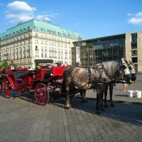 Кони в яблоках. :: unix (Илья Утропов)