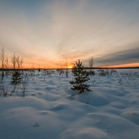 зимний вечер :: сергей 